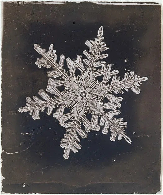 The First Snowflake
