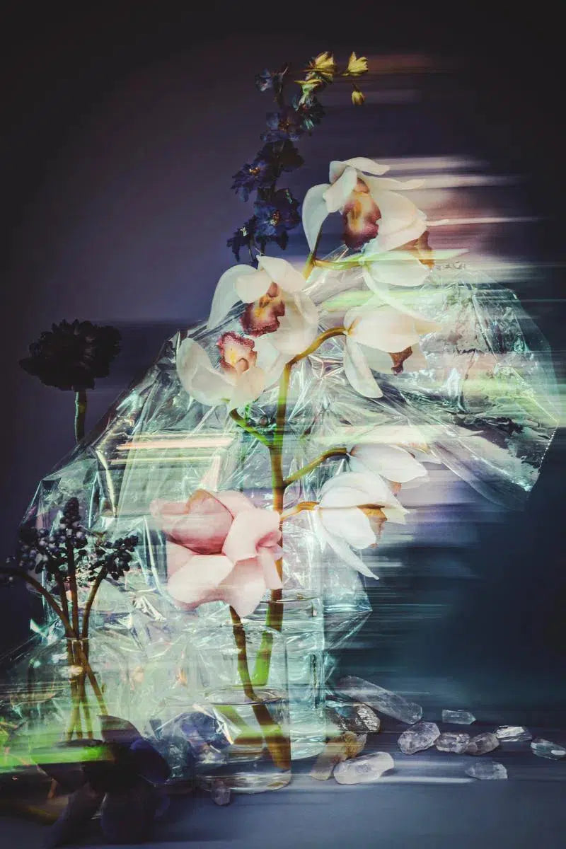 2020 Vision, by Javiera Estrada-PurePhoto