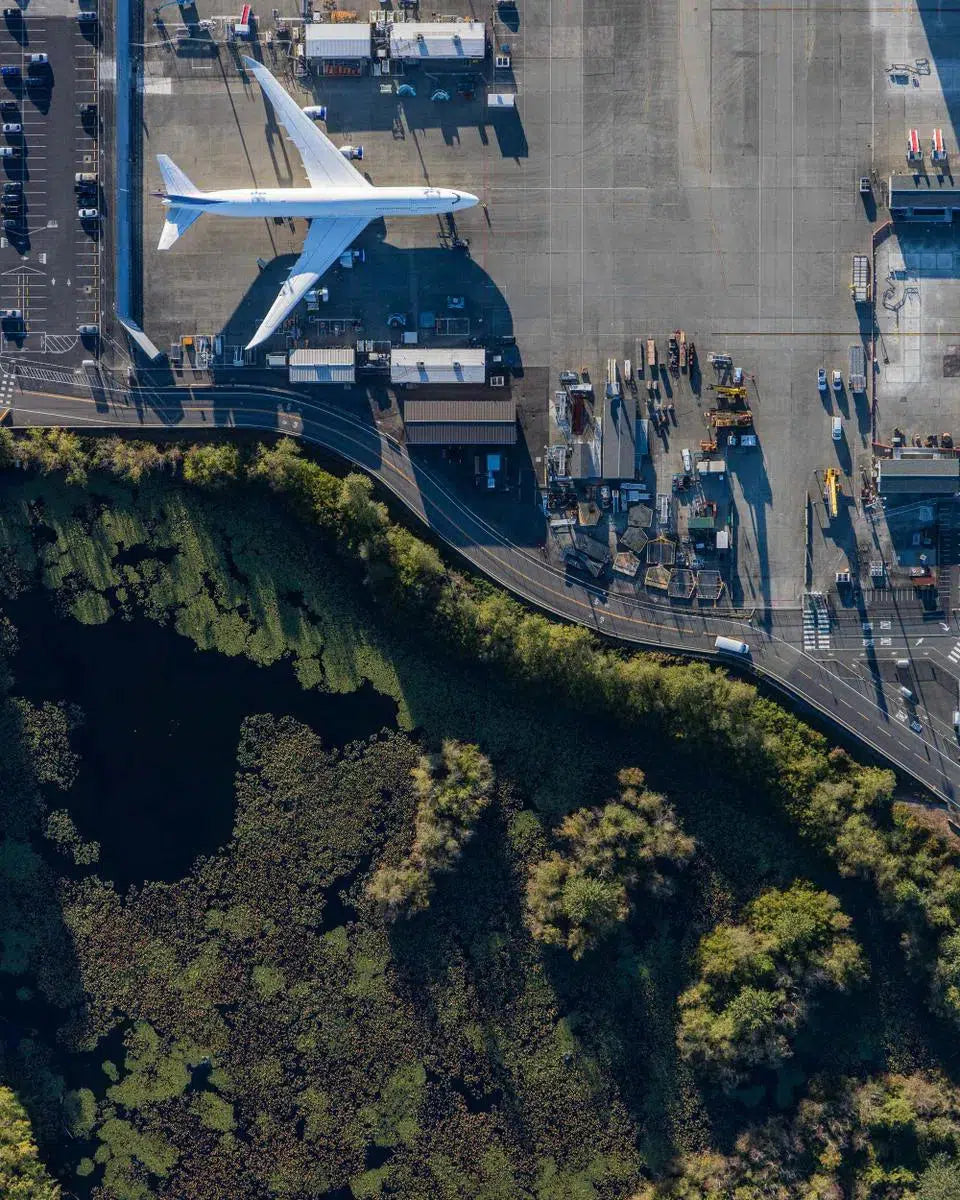 747-8, PAE, by Mike Kelley-PurePhoto