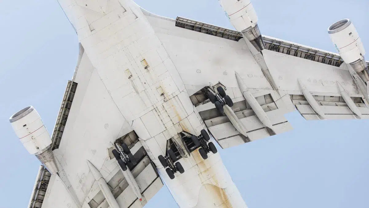 747 I, by Mike Kelley-PurePhoto