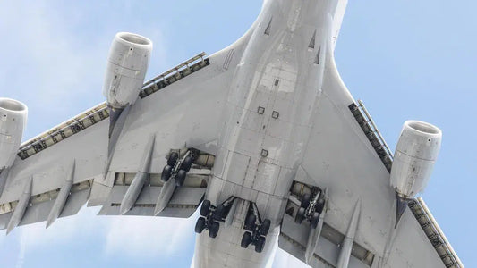 747 II, by Mike Kelley-PurePhoto