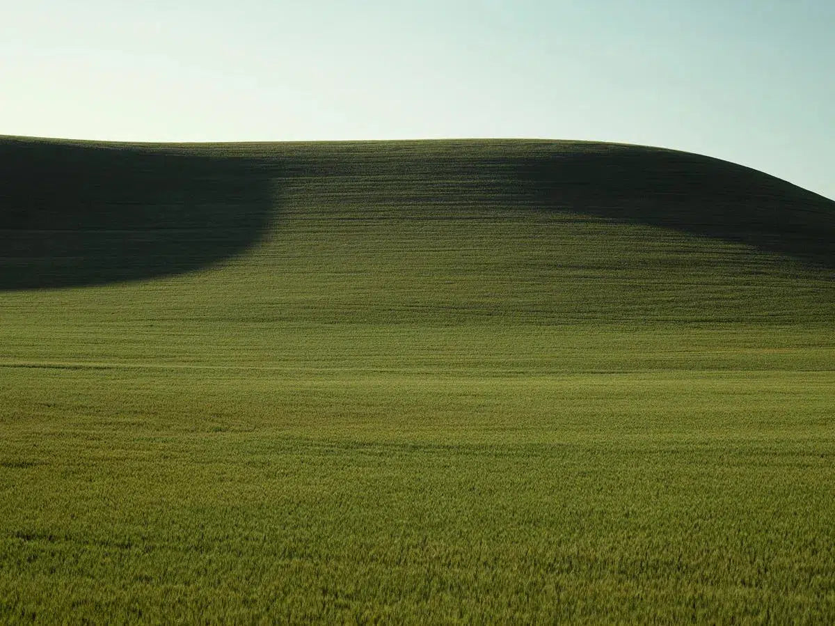 9th Hole Palouse, by Dale Hedden-PurePhoto