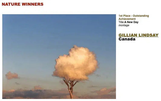 A New Day, by Gillian Lindsay-PurePhoto