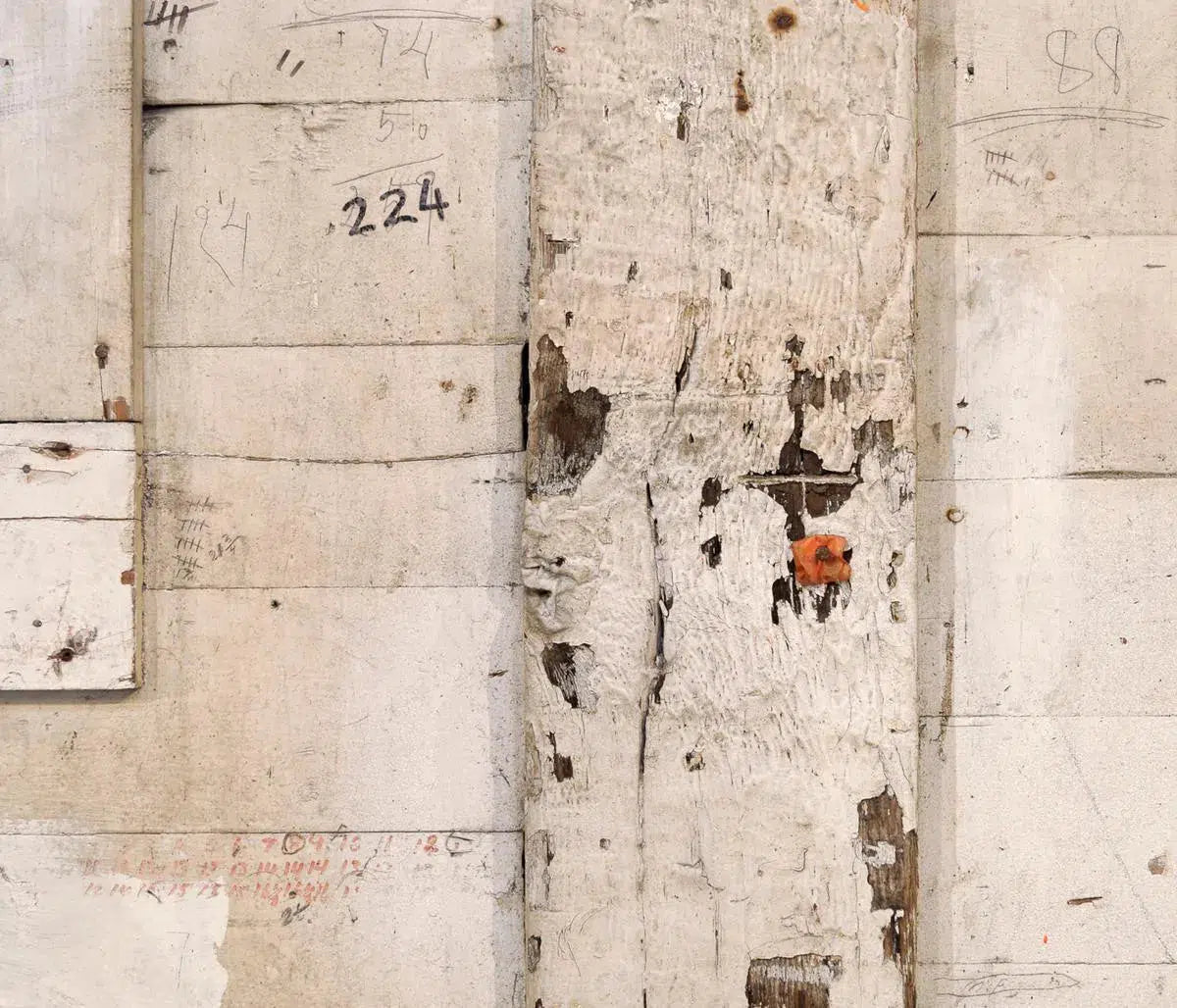 Aftermath 224, by Gillian Lindsay-PurePhoto