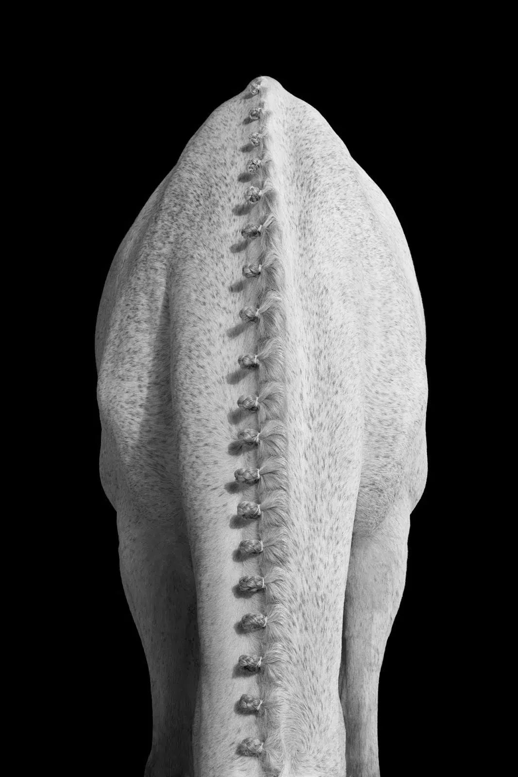 Align I, by Drew Doggett-PurePhoto