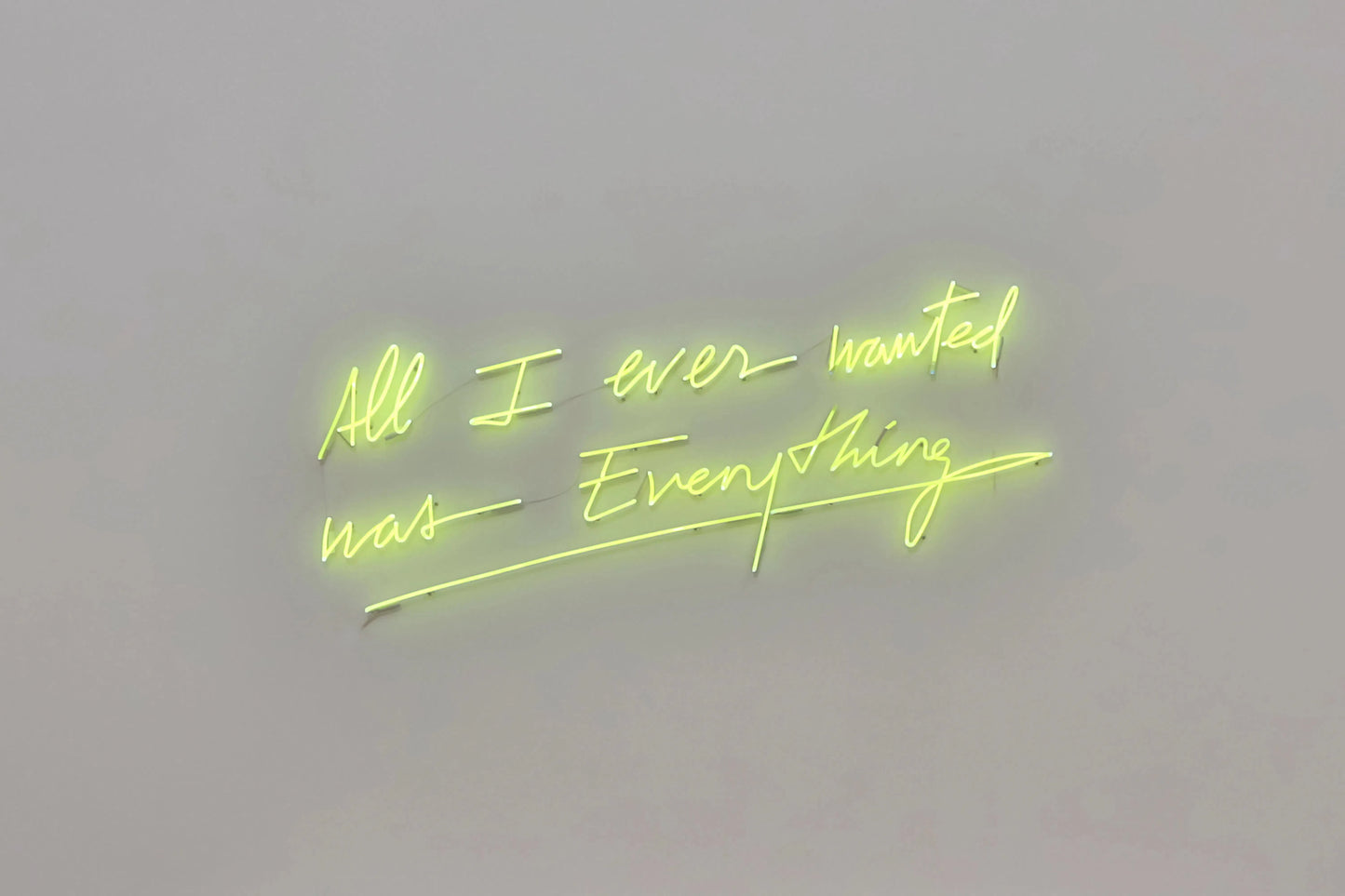 All I Ever Wanted Was Everything, by Olivia Steele-PurePhoto