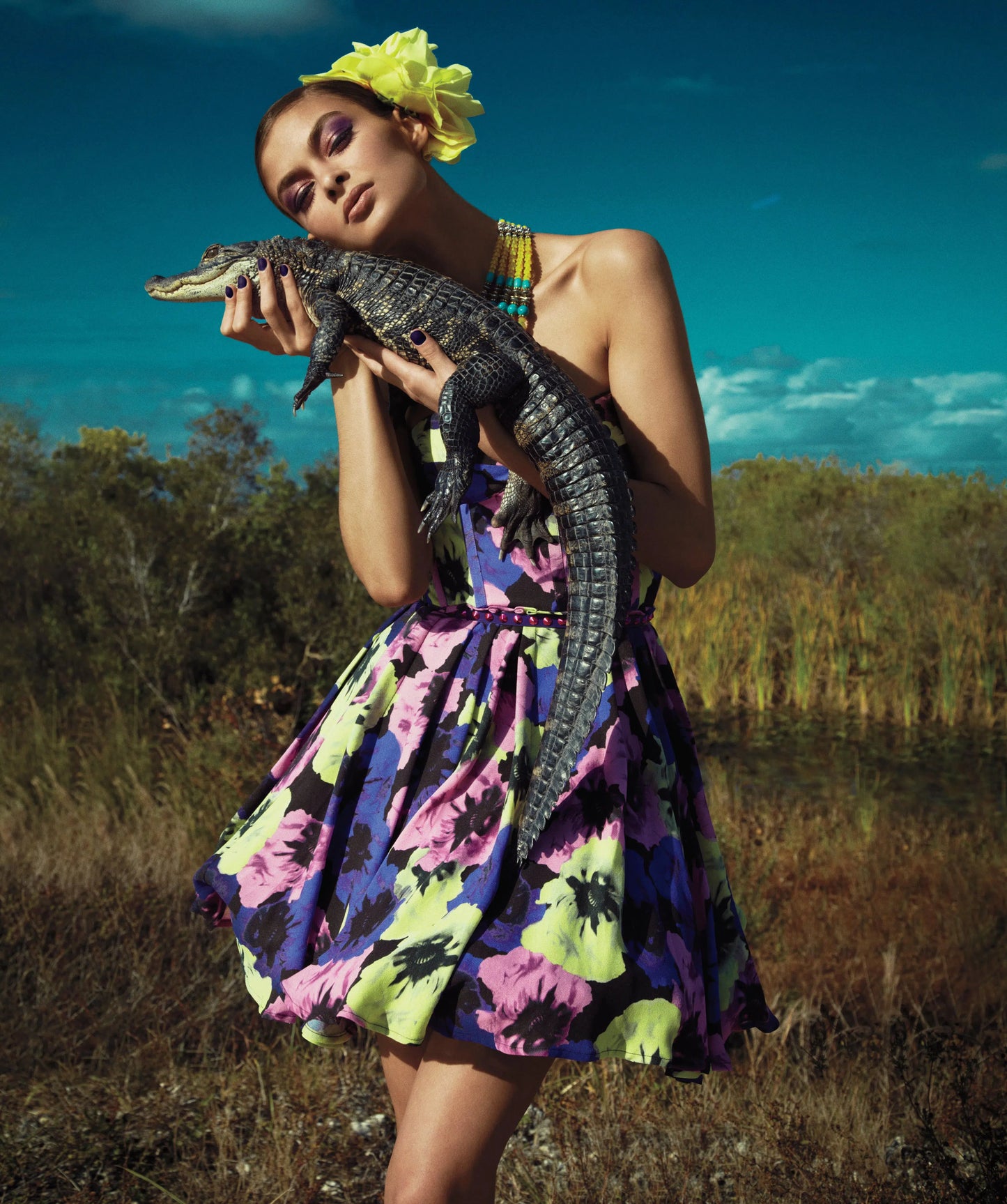 Alligator, by Greg Lotus-PurePhoto