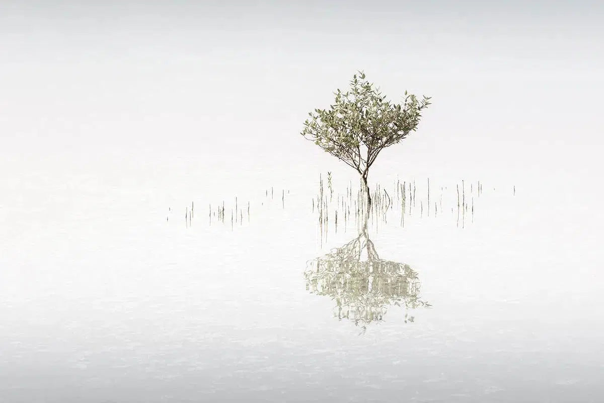 Alone, by Anthony Lamb-PurePhoto