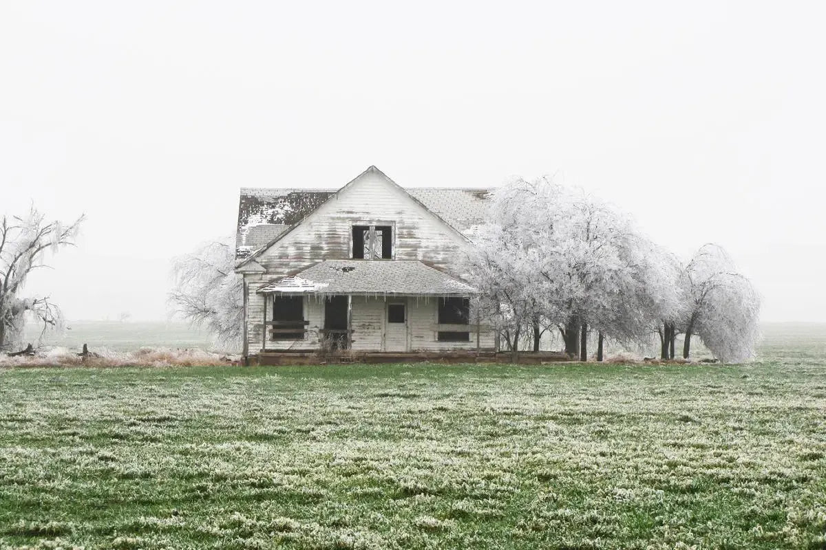 Amarillo, by Curtis Speer-PurePhoto
