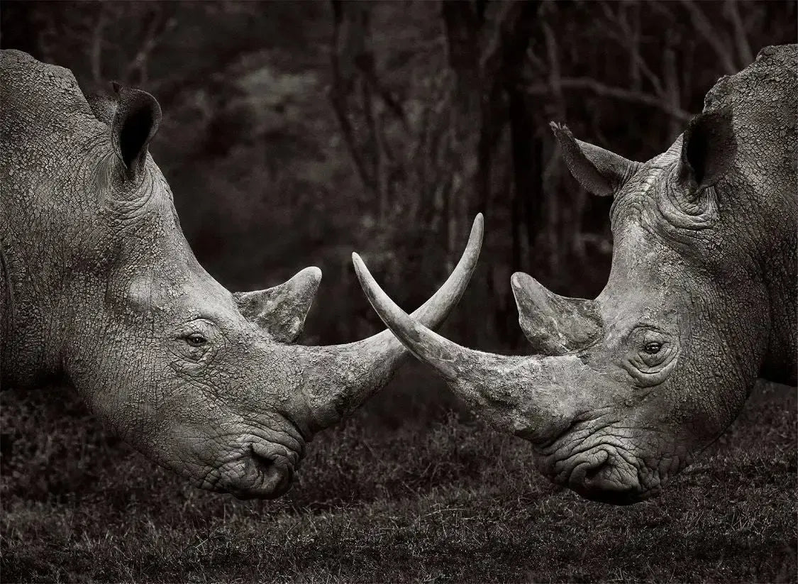 At Arms, by Drew Doggett-PurePhoto