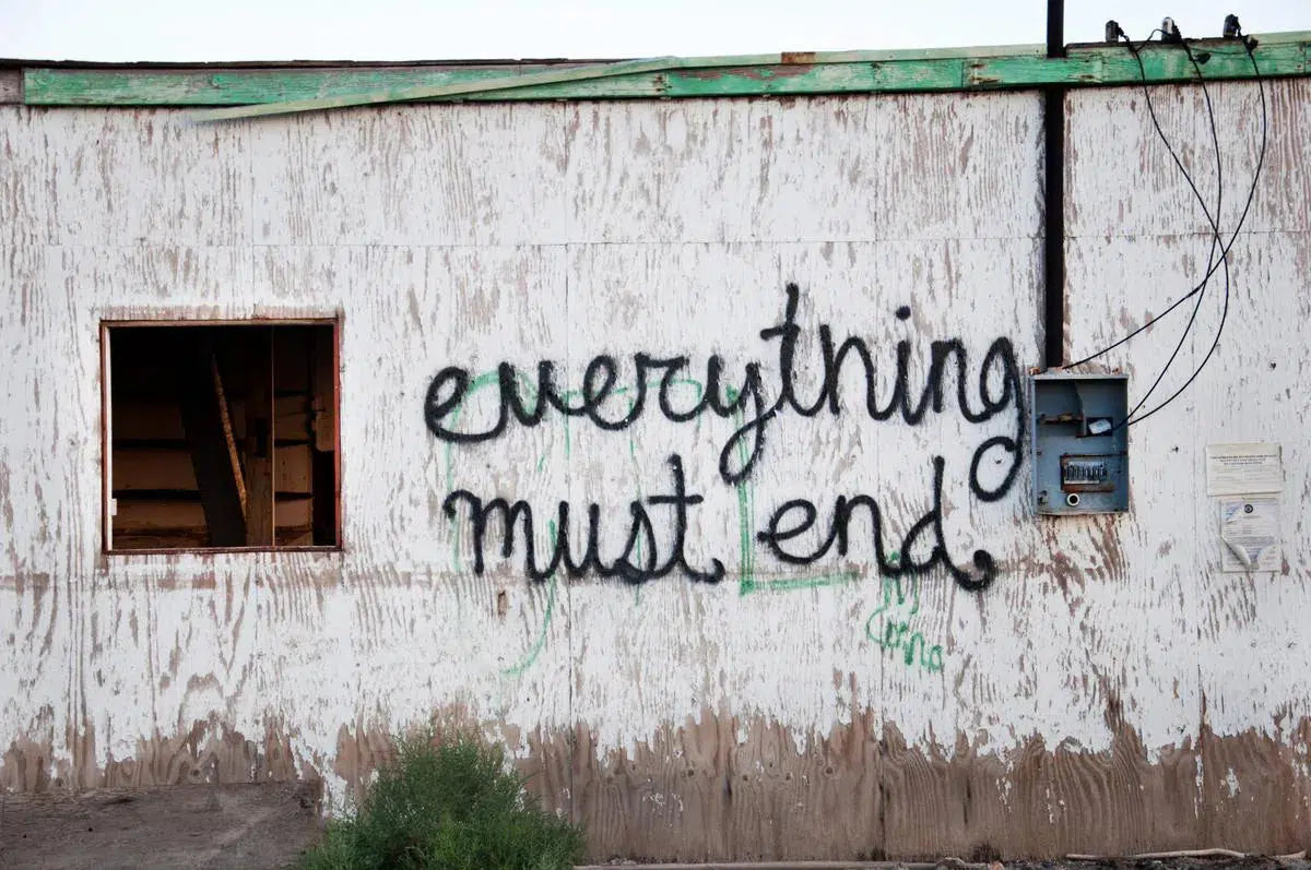 Autopsy no 2, by Francesca Ritchey-PurePhoto