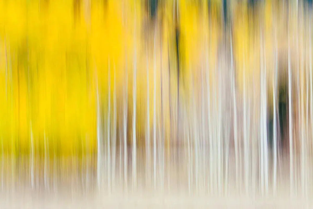 Autumn Splendor, by Mike Valdez-PurePhoto