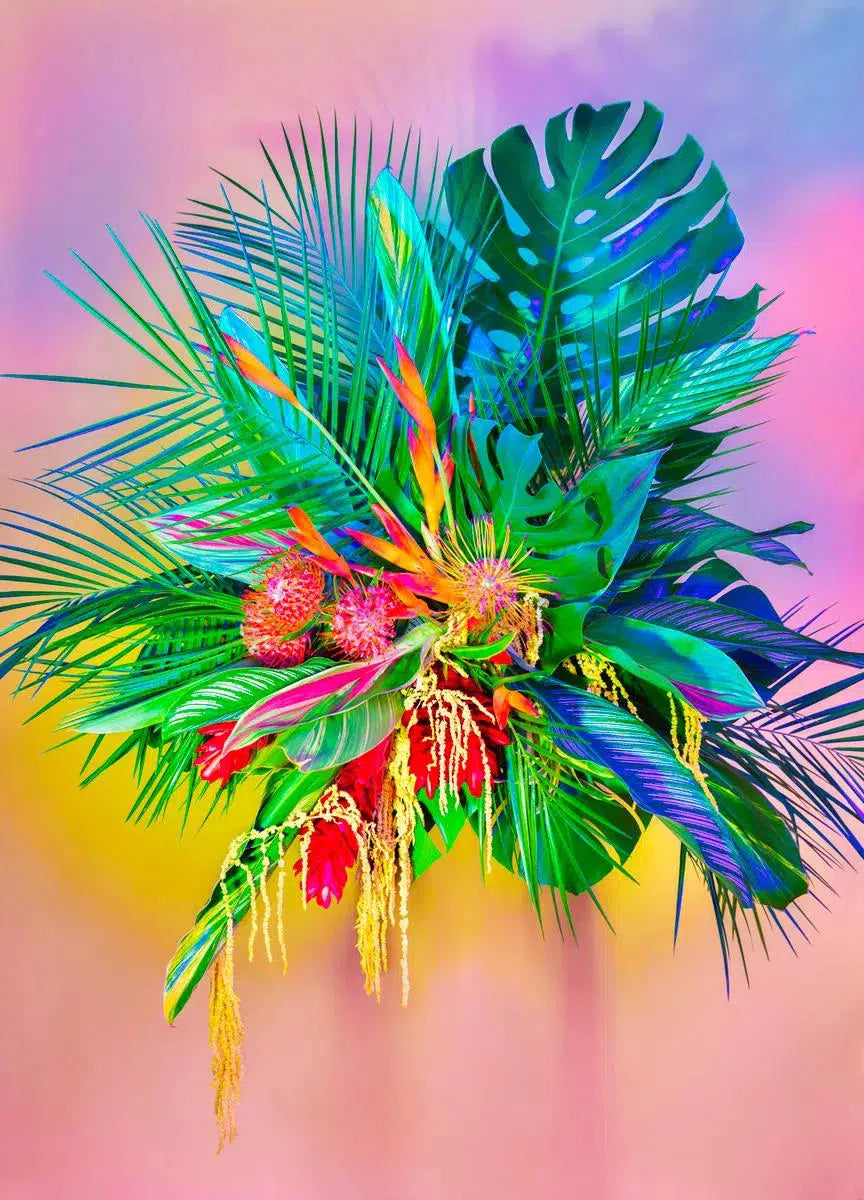 Baby O, by Javiera Estrada-PurePhoto