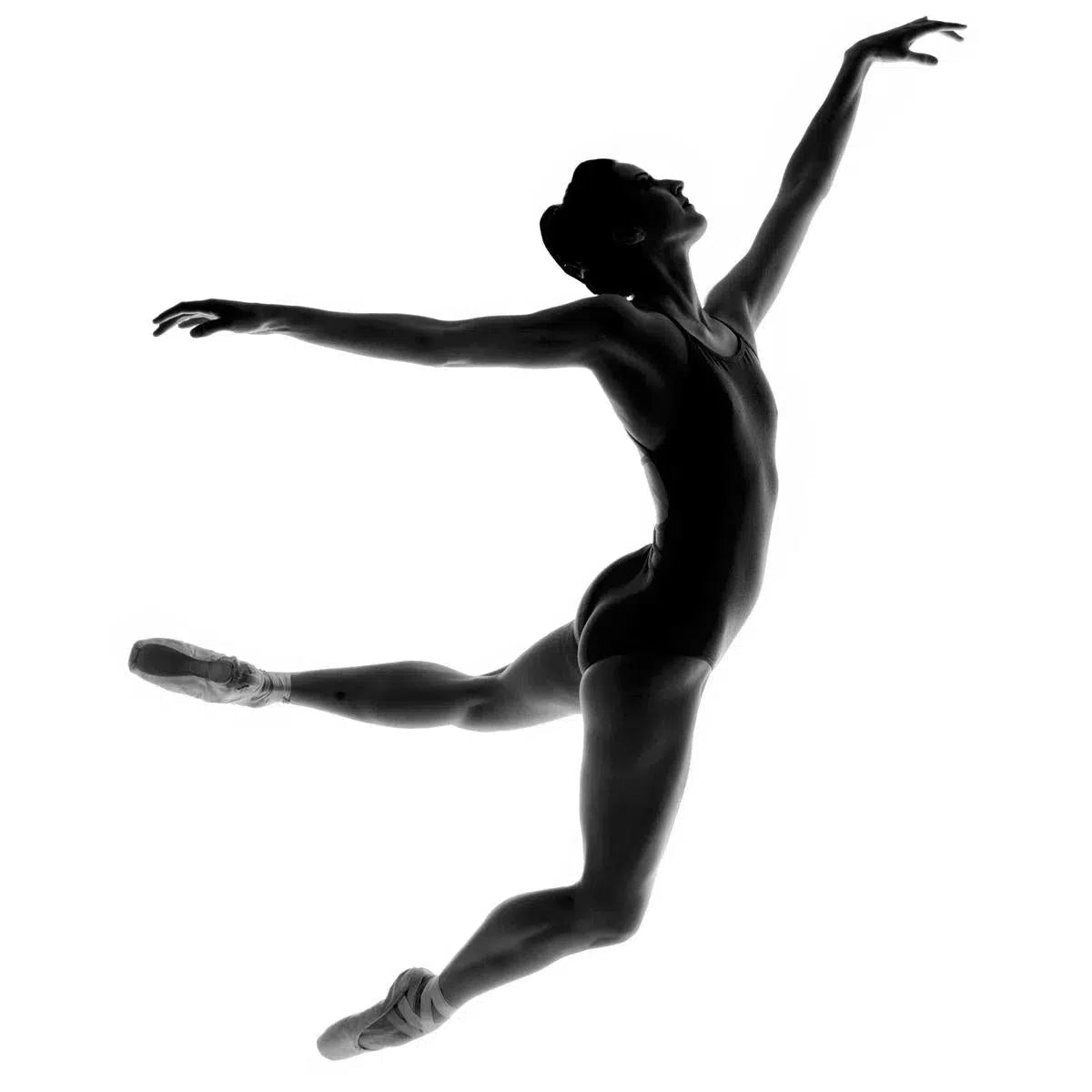 Ballet #7, by Rick Rose-PurePhoto