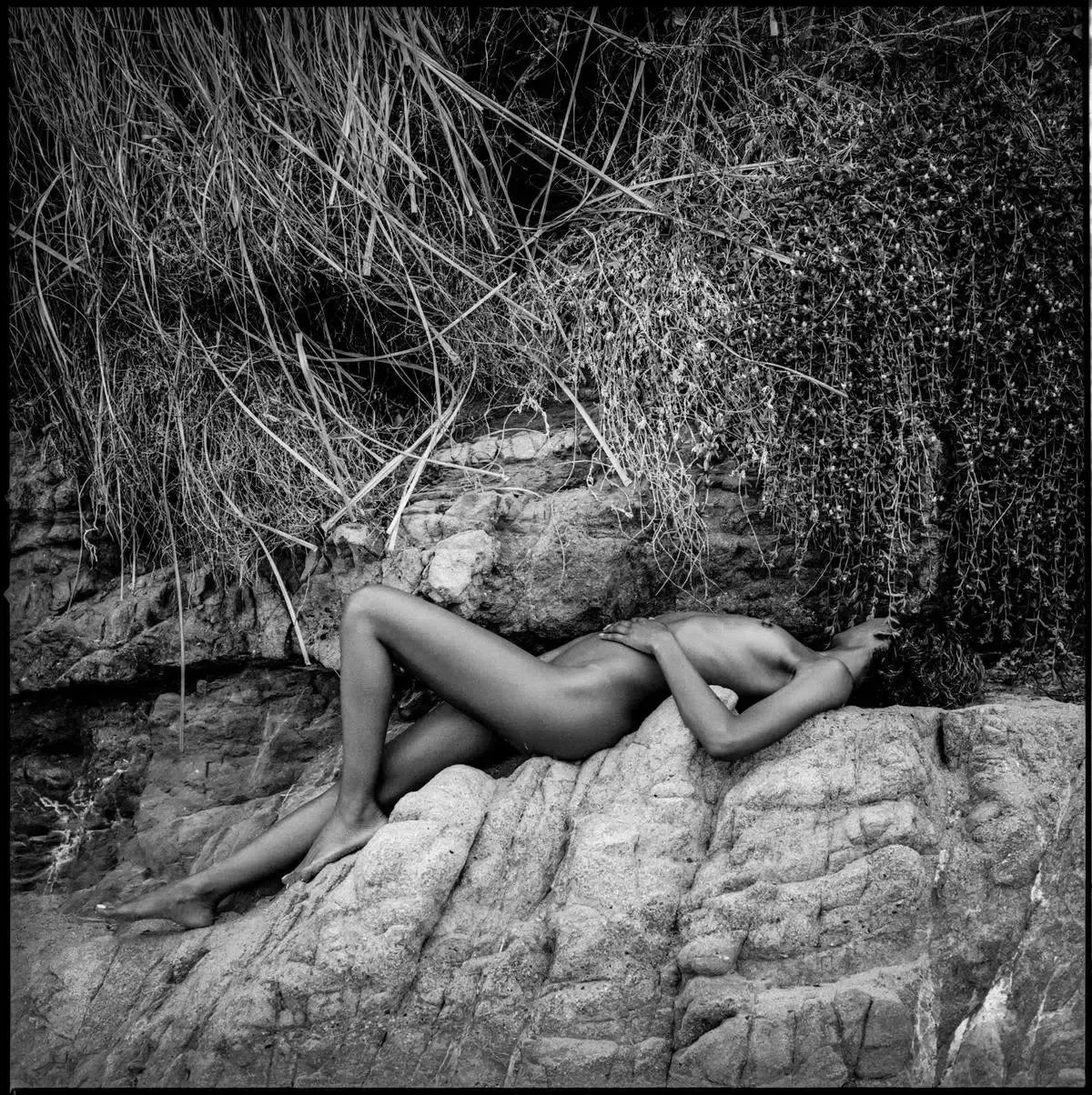 Betel, by Javiera Estrada-PurePhoto