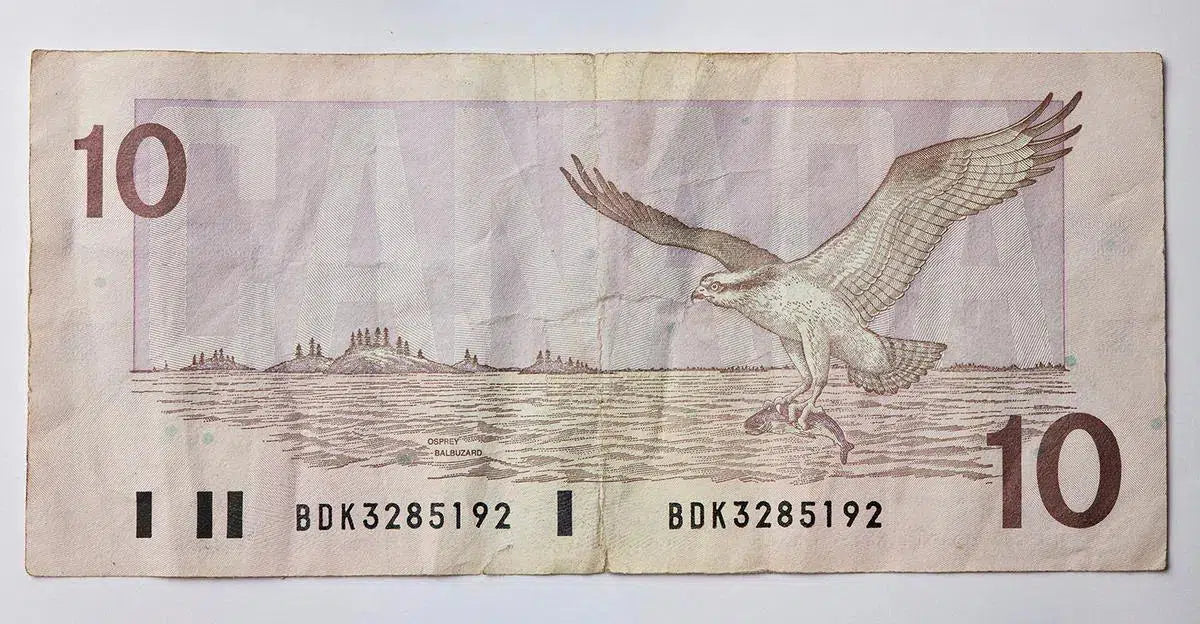 Bird Series $10, by Peter Andrew-PurePhoto