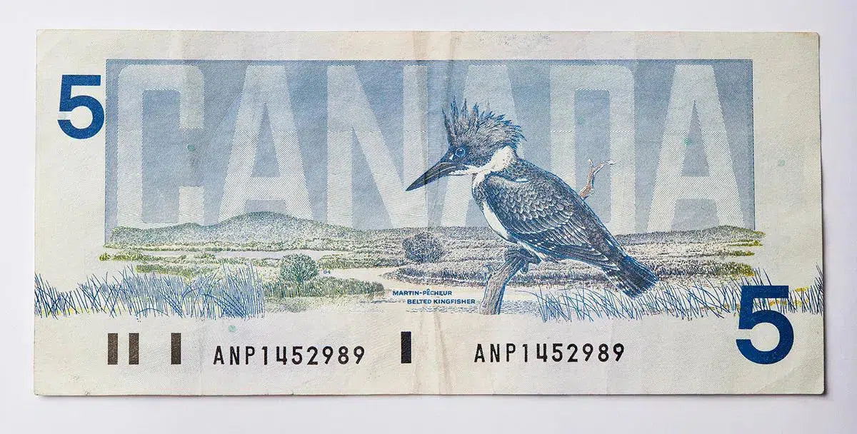 Bird Series $5, by Peter Andrew-PurePhoto