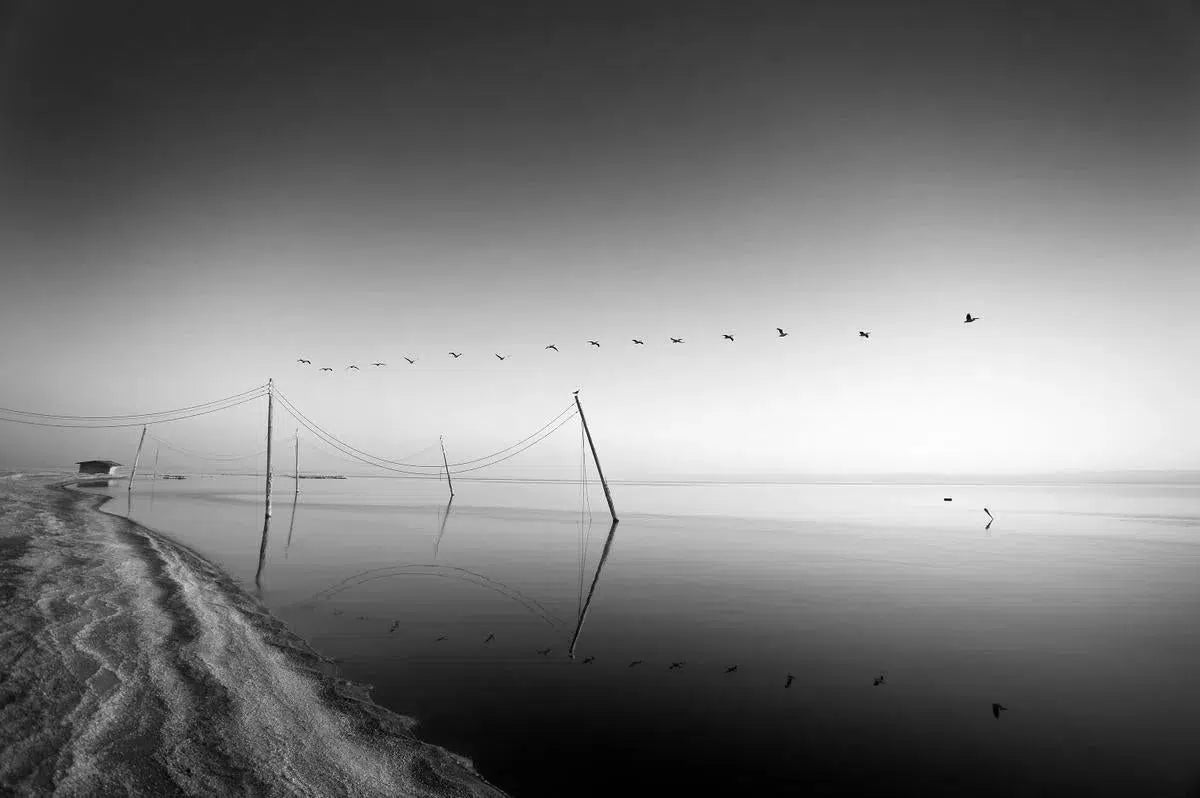 Birds Over Bombay Study 1, by Bryce Olsen-PurePhoto