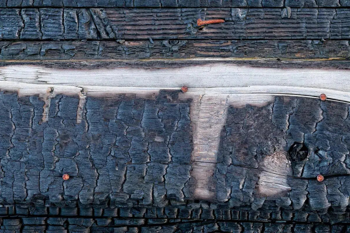 Black & Blue, by Gillian Lindsay-PurePhoto