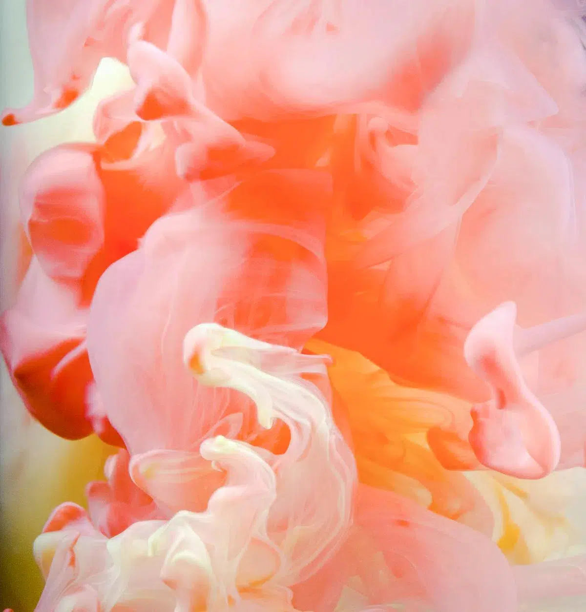 Bloom, by Javiera Estrada-PurePhoto