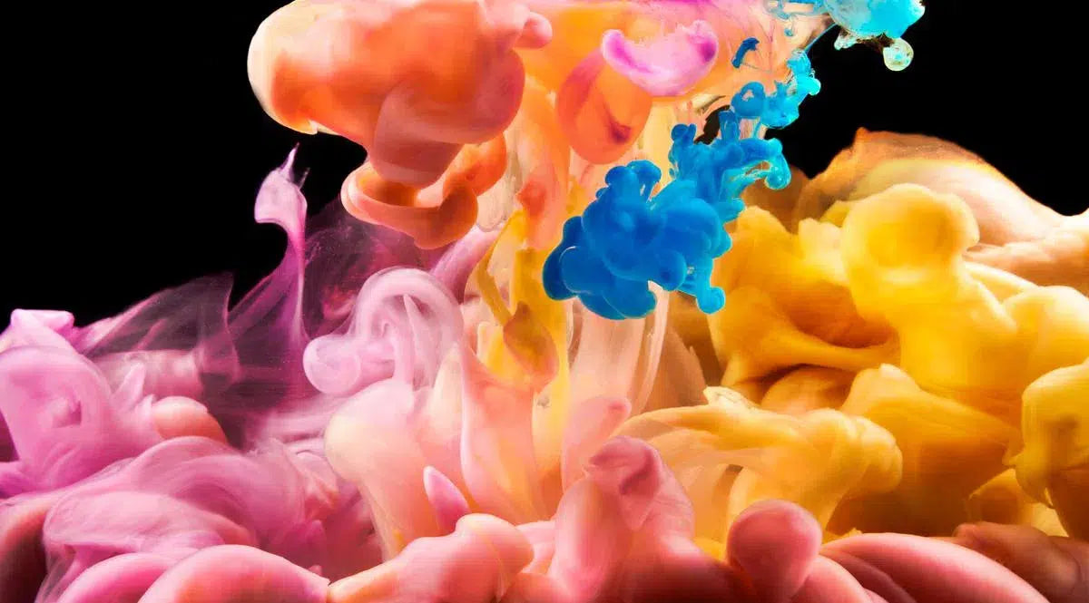 Blue Sapphire, by Javiera Estrada-PurePhoto