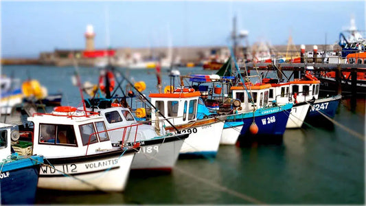 Boats Dunmore East Harbour, by Stewart Sadler-PurePhoto