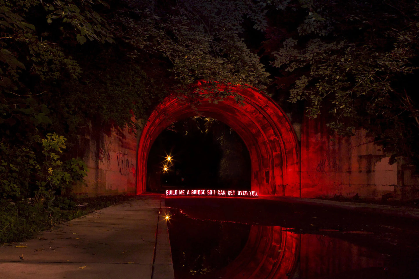 Build me a Bridge, by Olivia Steele-PurePhoto