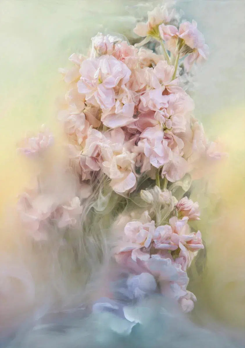 Butterflies, by Javiera Estrada-PurePhoto