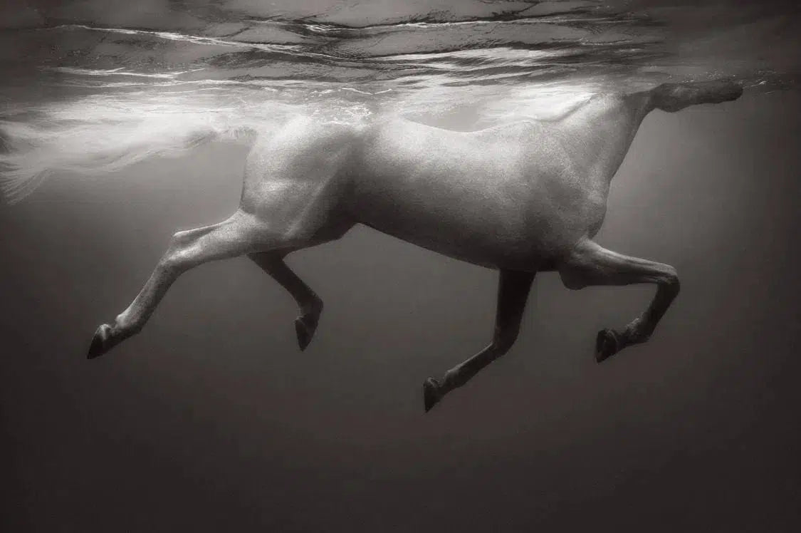 Celestial Light, by Drew Doggett-PurePhoto
