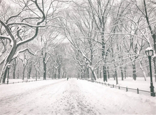Central Park Winter - Poet's Walk - New York City, by Vivienne Gucwa-PurePhoto