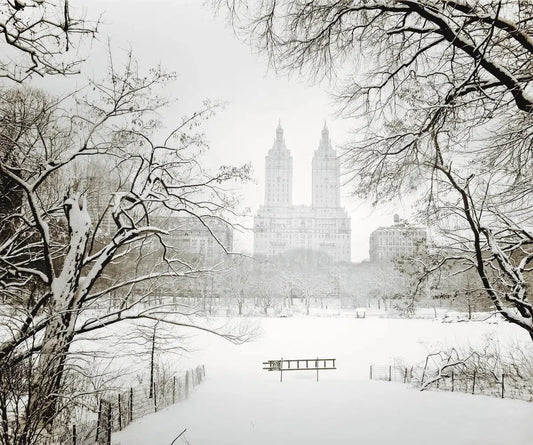 Central Park Winter - San Remo Through Trees - New York City, by Vivienne Gucwa-PurePhoto