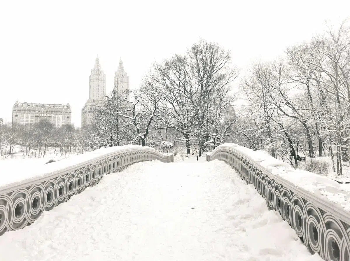 Central Park Winter - Snow On Bridge - New York City, by Vivienne Gucwa-PurePhoto
