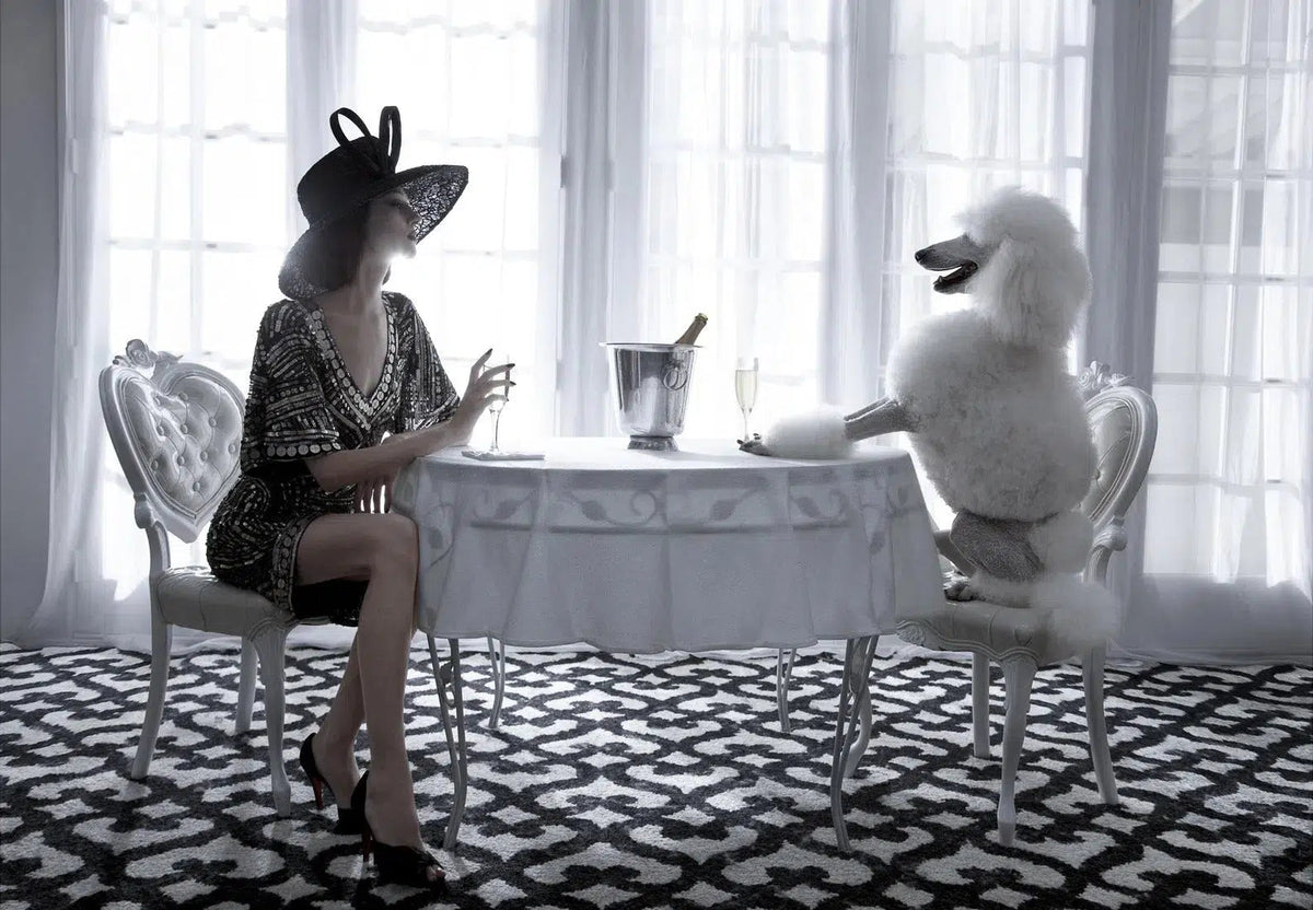 Champagne Poodle, by Greg Lotus-PurePhoto