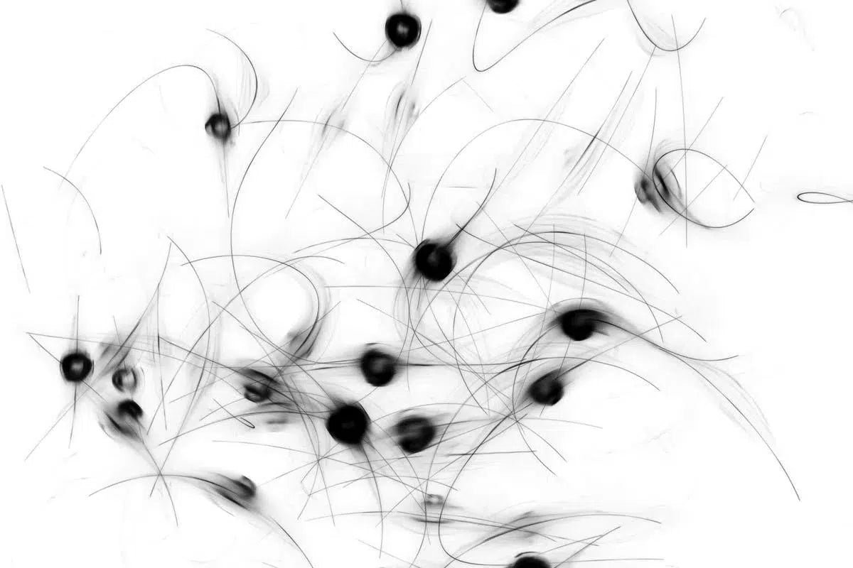 Choreography, by Gillian Lindsay-PurePhoto