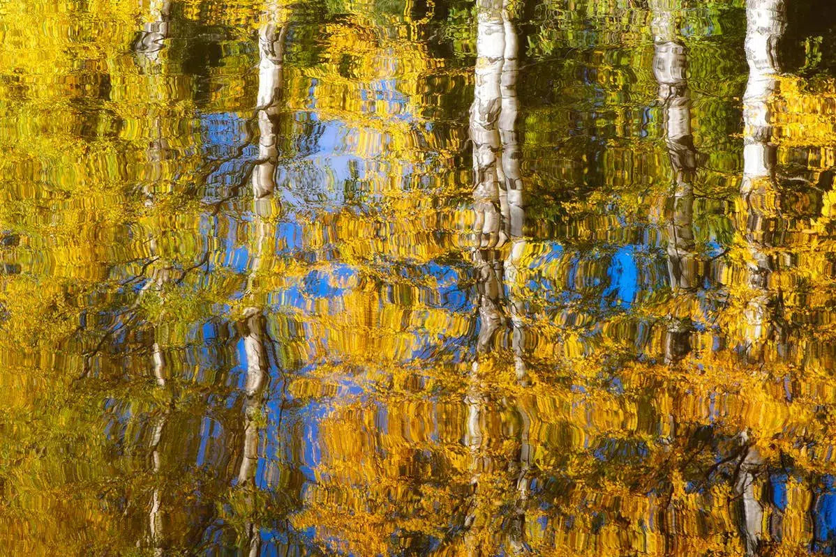 Colors and Reflections, by Ari Salmela-PurePhoto