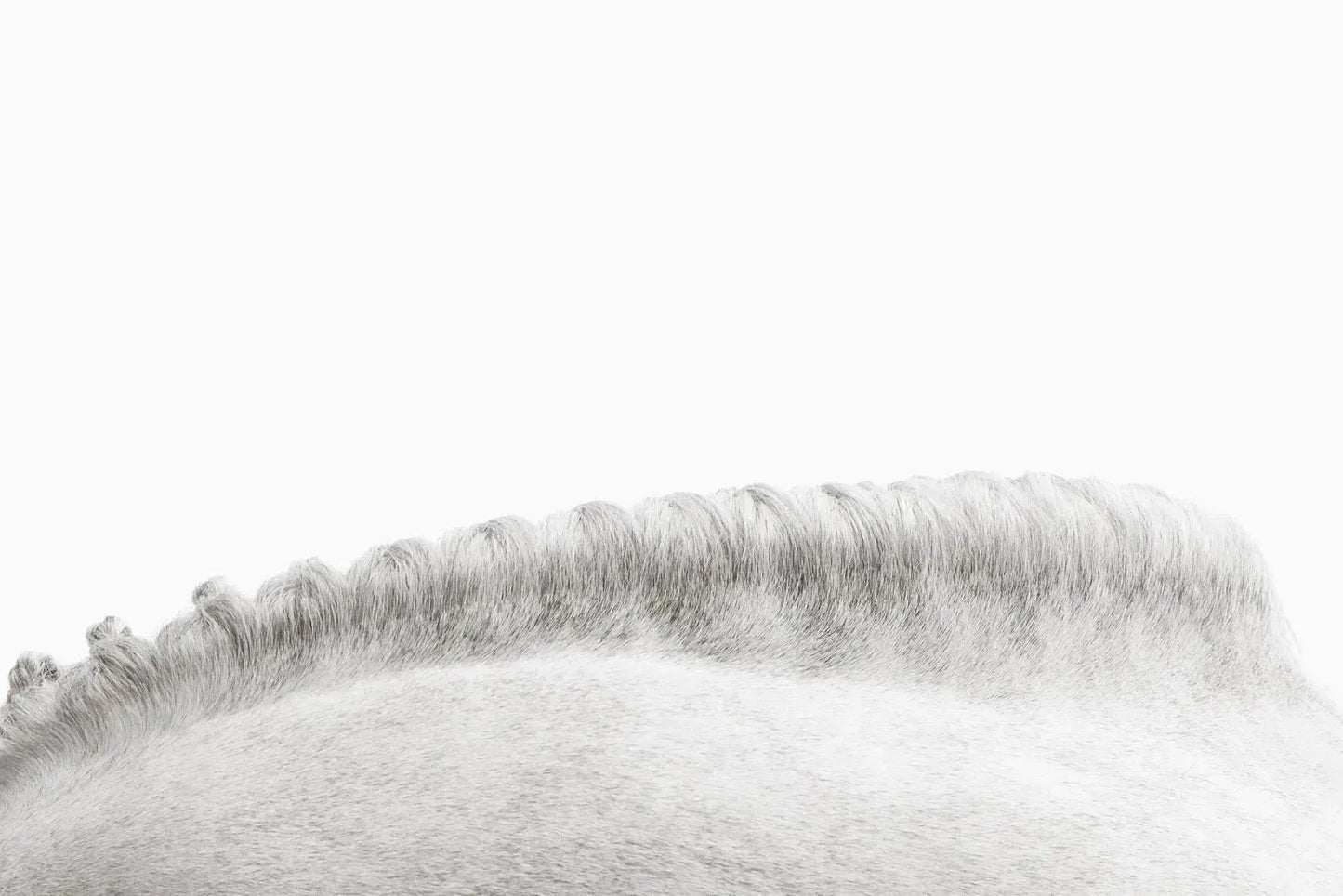 Crest in Profile, by Drew Doggett-PurePhoto