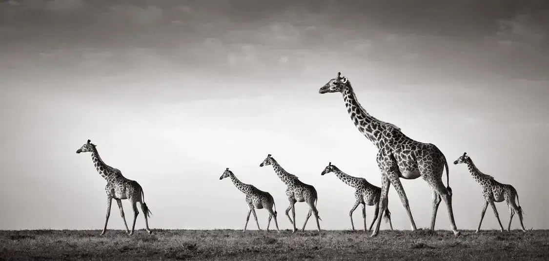 Crossing Time, by Drew Doggett-PurePhoto