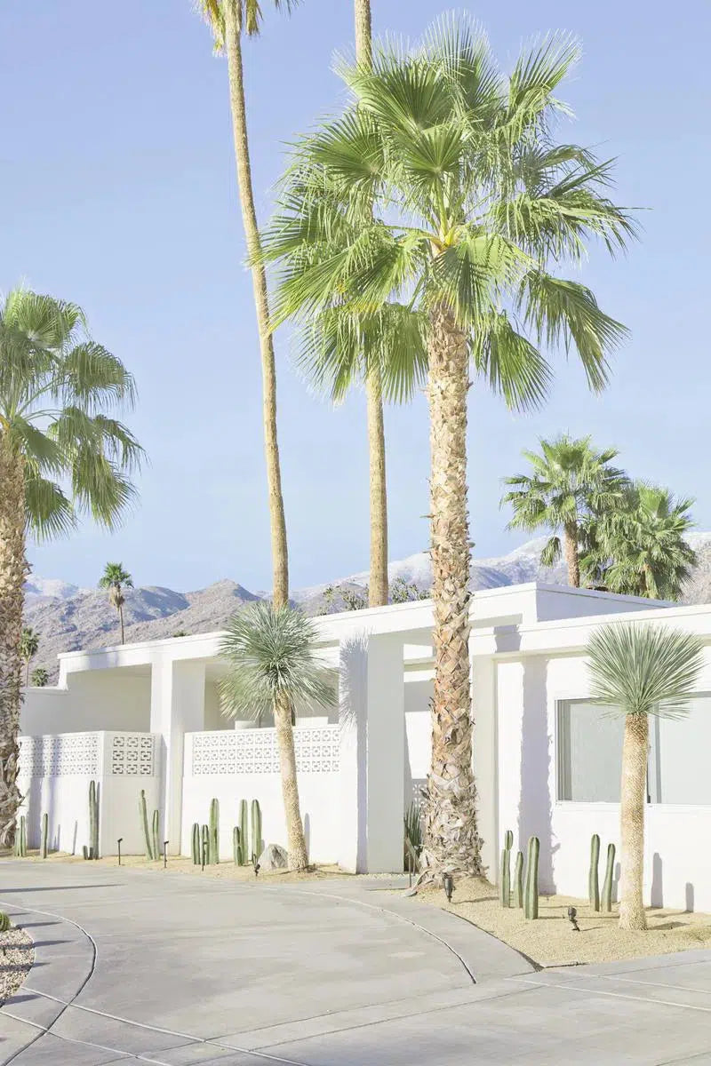 Desert Living, by Irene Suchocki-PurePhoto