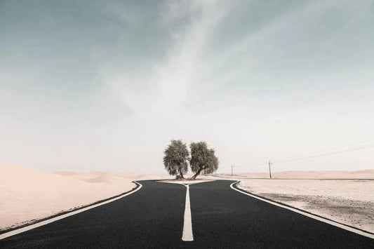Desert Road, by Anthony Lamb-PurePhoto
