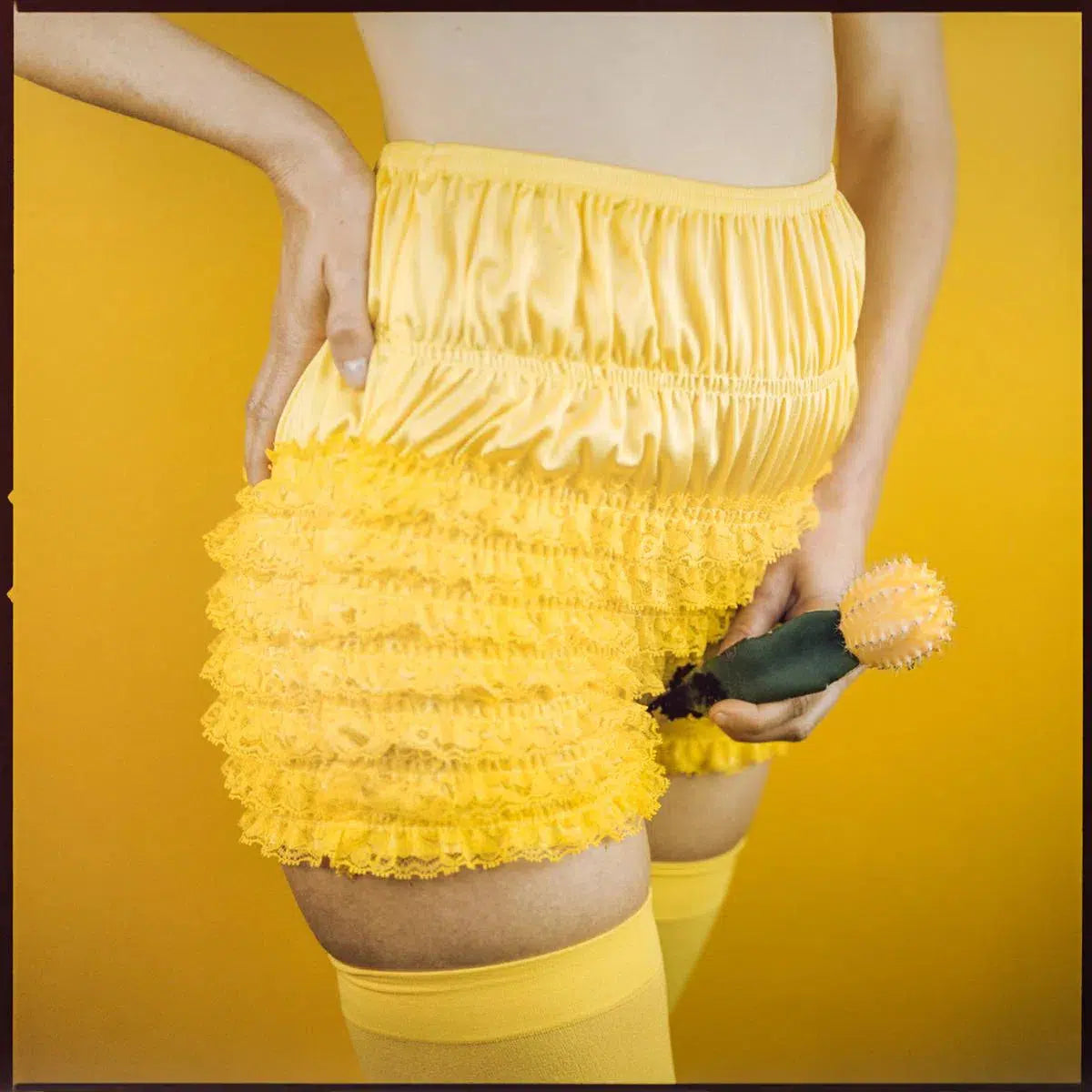 Dick the Cactus, by Javiera Estrada-PurePhoto