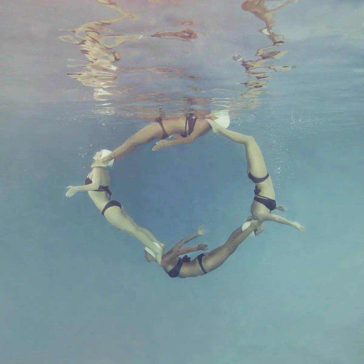 Dolphin Circle, by Mallory Morrison-PurePhoto