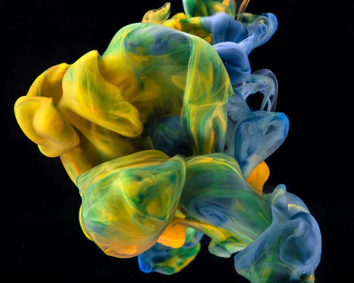 Double Helix, by Javiera Estrada-PurePhoto