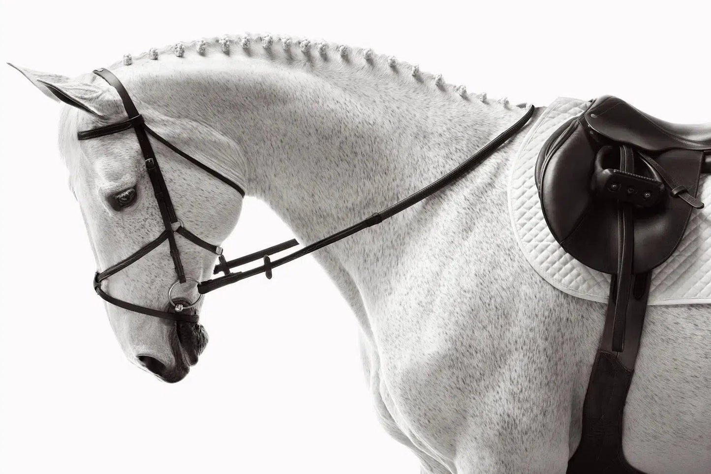 Dress III, by Drew Doggett-PurePhoto