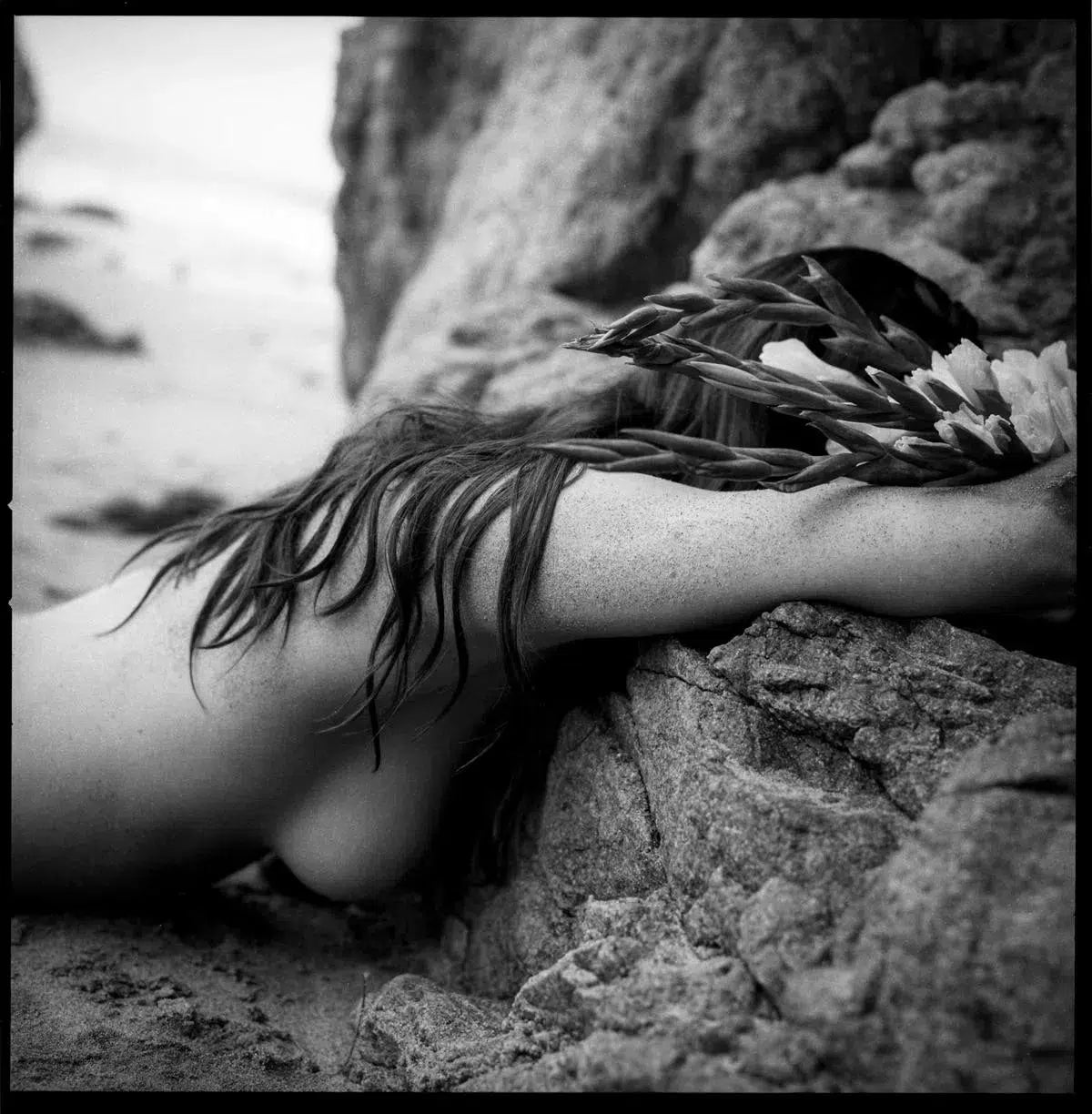 Dust to Dust, by Javiera Estrada-PurePhoto