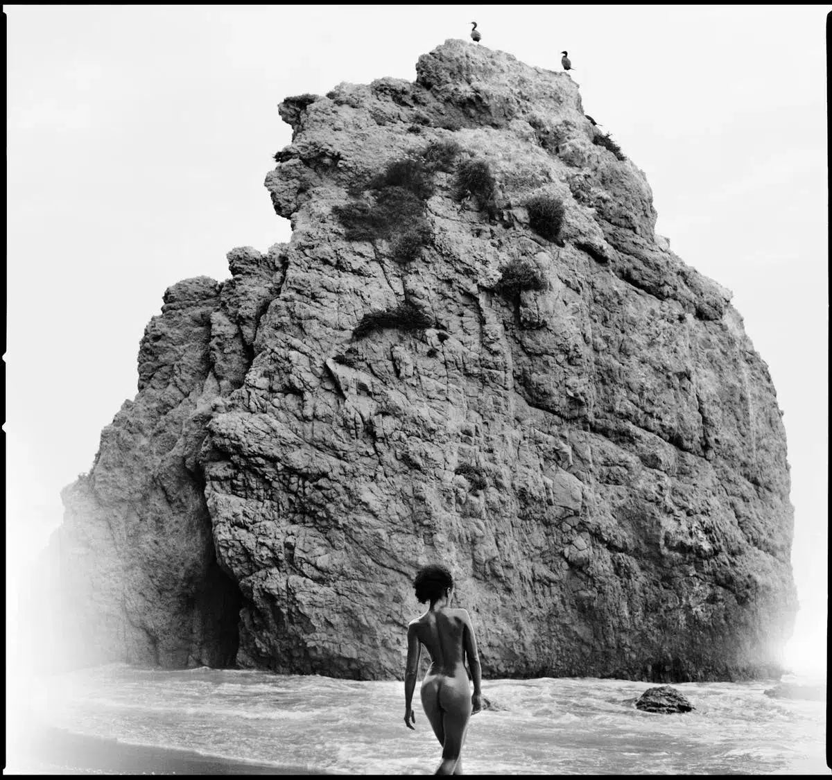 El Matador, by Javiera Estrada-PurePhoto