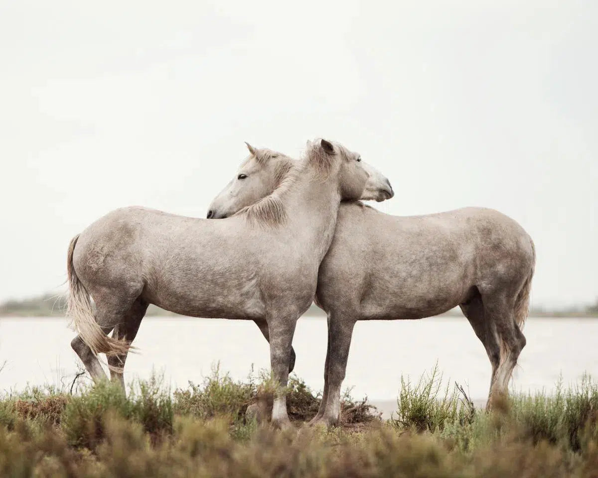 Embrace, by Irene Suchocki-PurePhoto