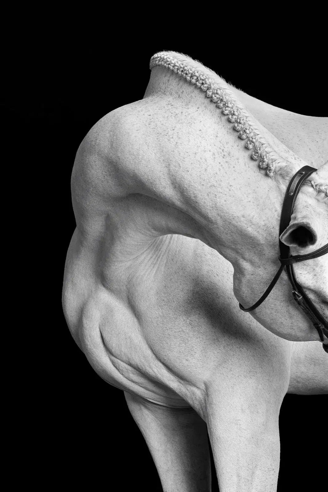 Etched in Stone, by Drew Doggett-PurePhoto