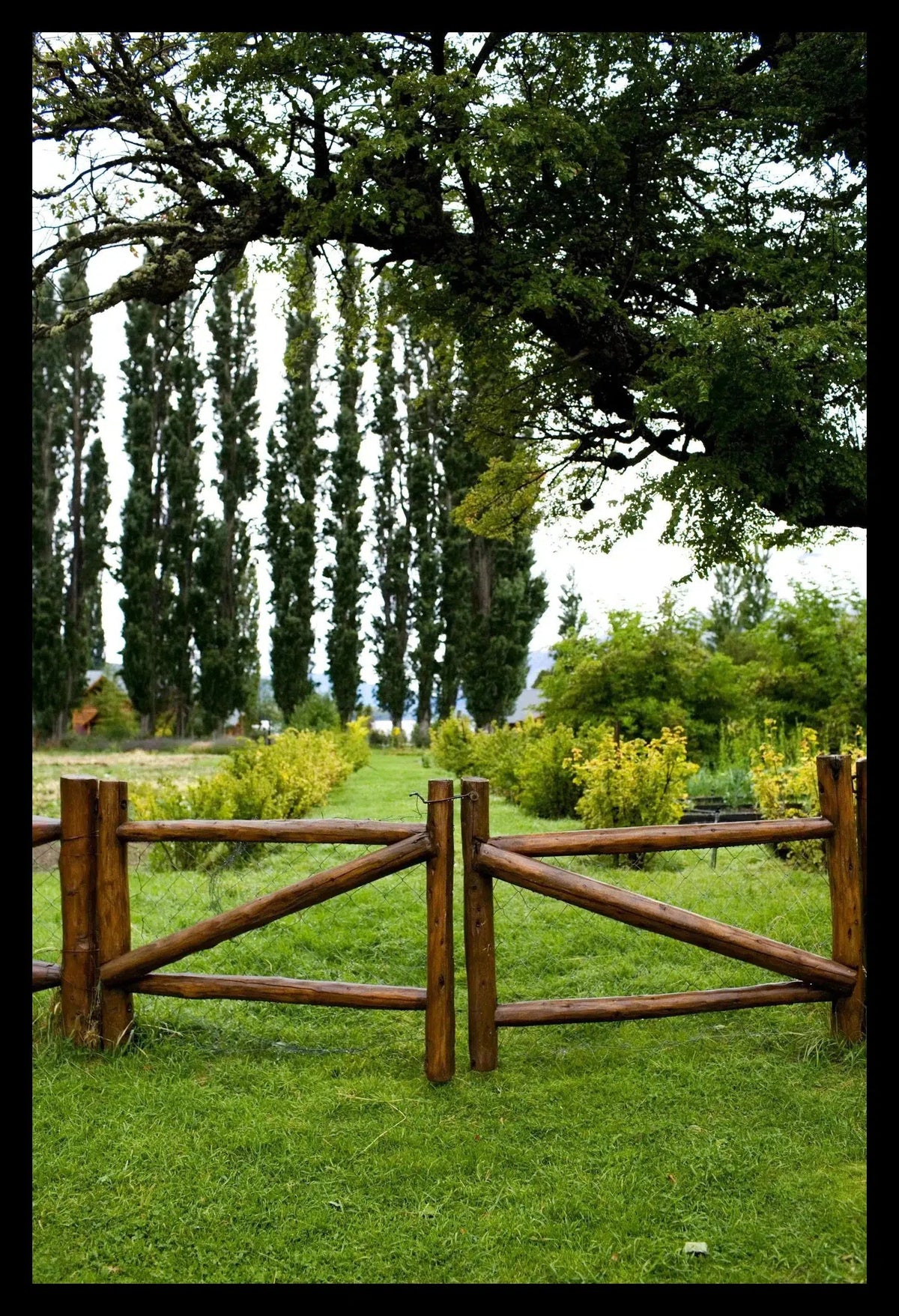Fence Argentina, Framed-PurePhoto