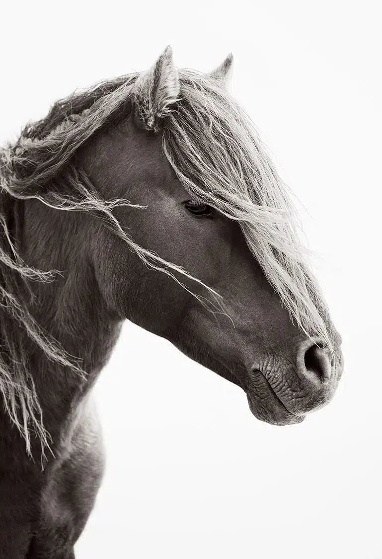 Finding Solitude, by Drew Doggett-PurePhoto