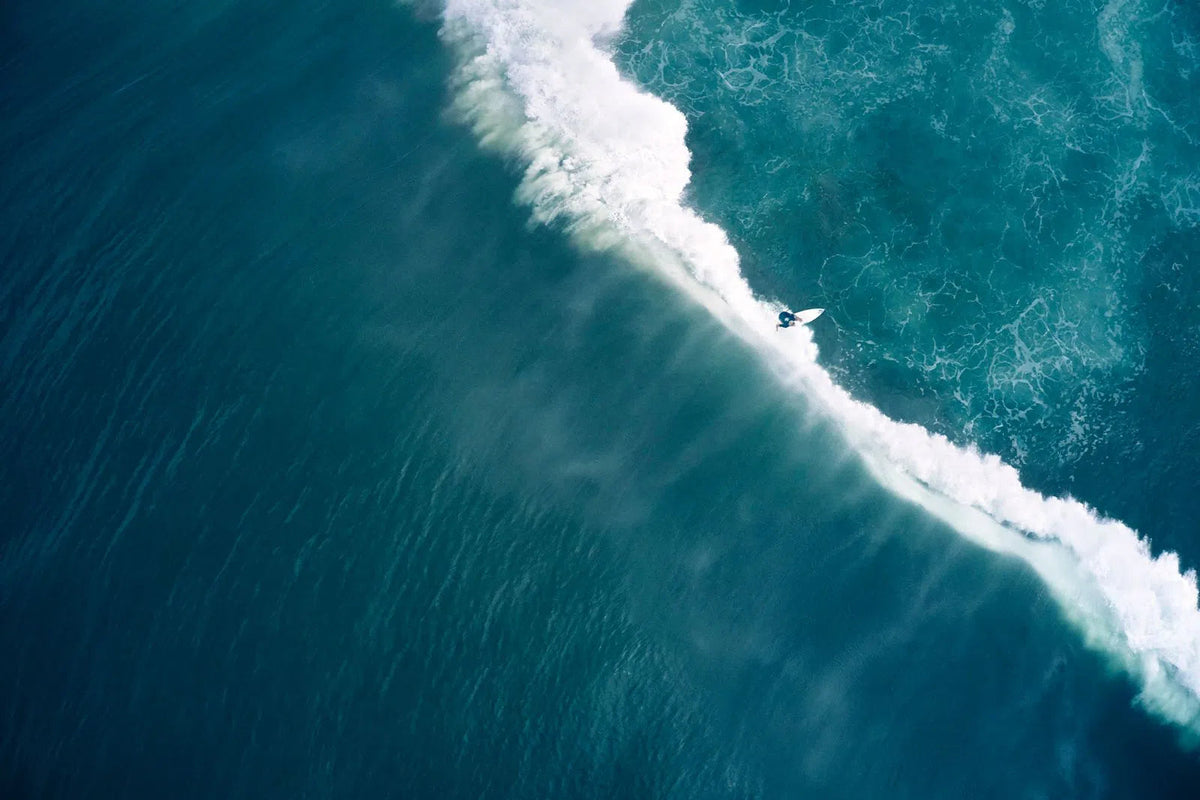 Flight at Sea, by Drew Doggett-PurePhoto